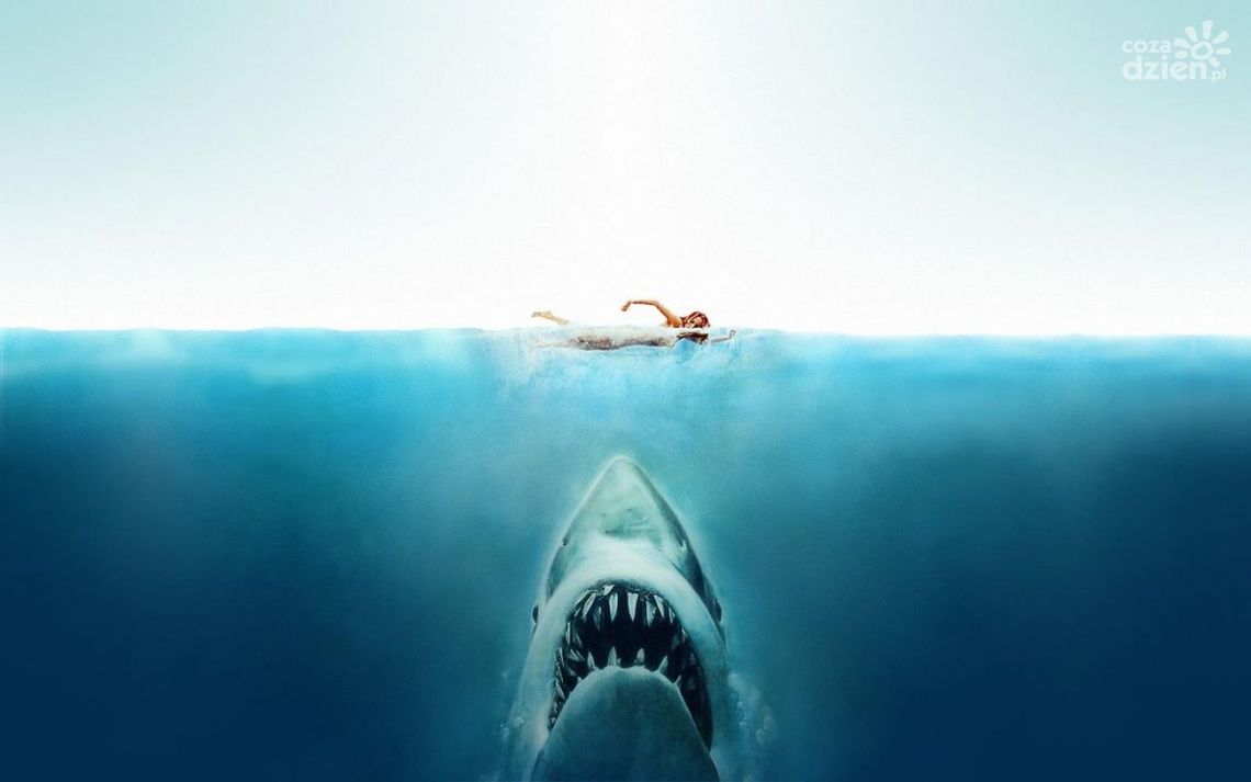 SWOJĄ ODGRYZIONĄ NOGĄ MĘŻCZYZNA ZABIŁ REKINA (ZDJĘCIA)
