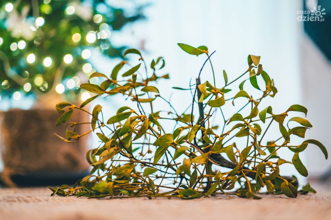 Symbol szczęścia i pomyślności