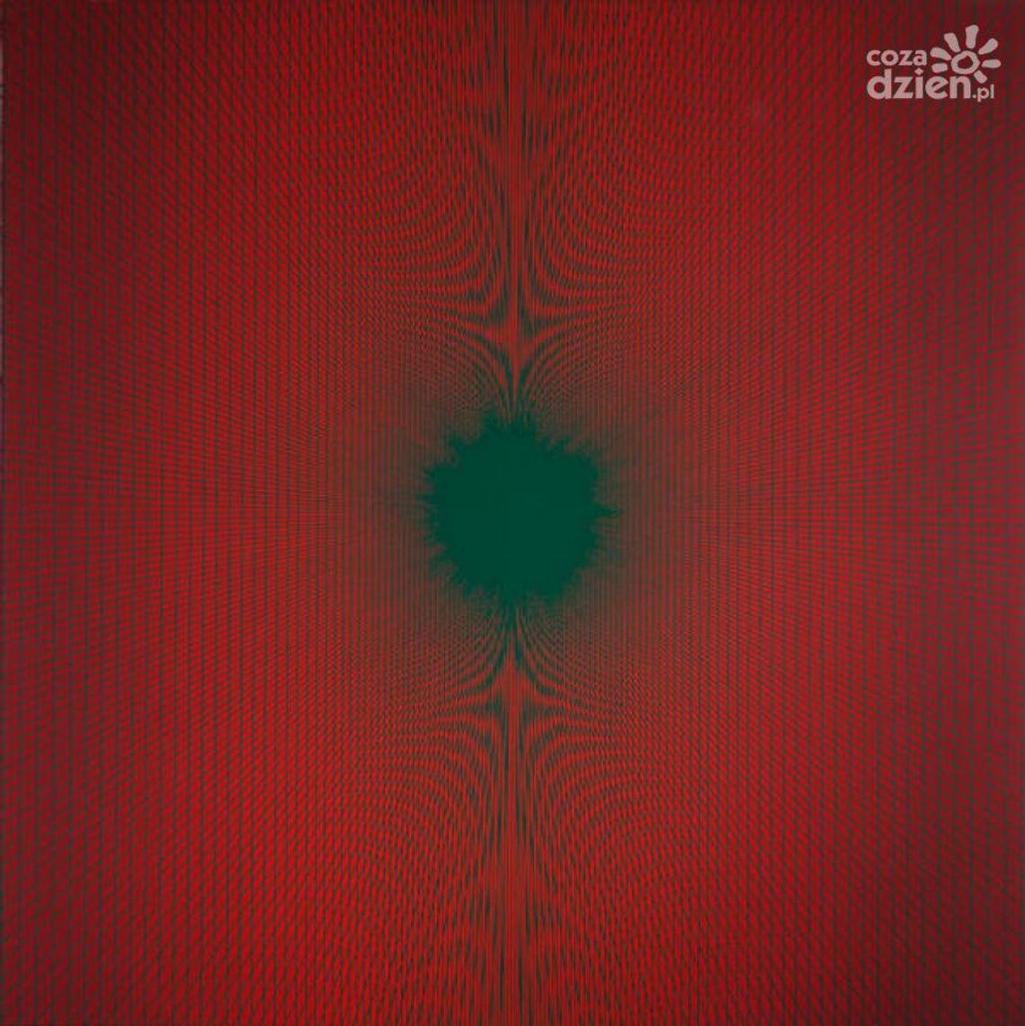 "Symetrie i interferencje" Michała Misiaka