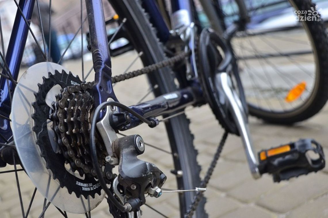 Szajka złodziei rowerów zatrzymana