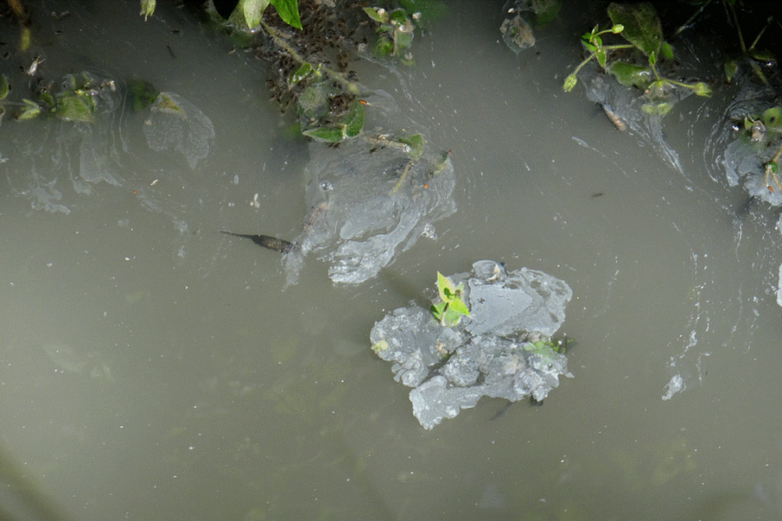 Szambo wypływa „spod ziemi”? Szambo wypływa „spod ziemi”?