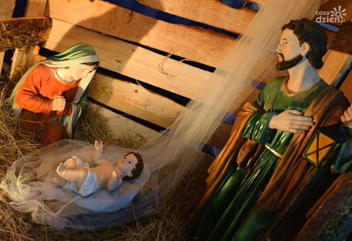 Szopka z Cerekwi najładniejsza w diecezji 