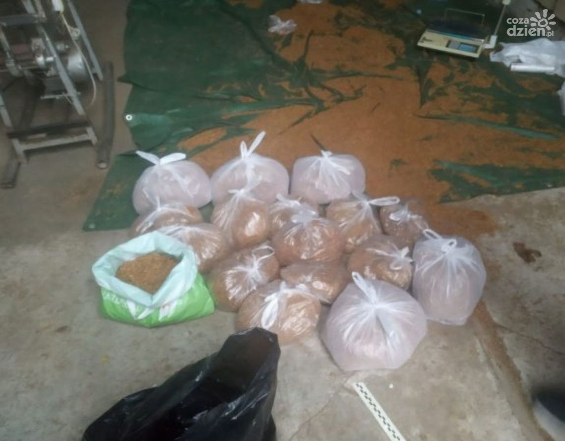 Szydłowiec. Policjanci zabezpieczyli ponad 40 kg nielegalnego tytoniu Szydłowiec. Policjanci zabezpieczyli ponad 40 kg nielegalnego tytoniu
