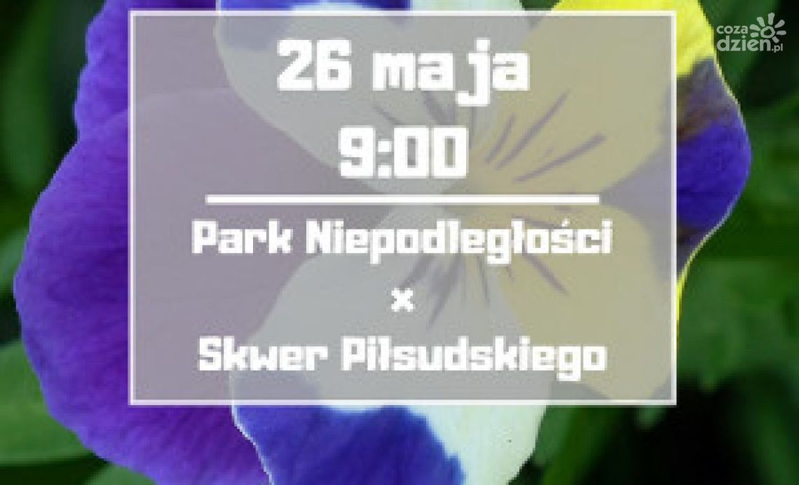 Szydłowiec. Wspólne sadzenie kwiatów już w sobotę