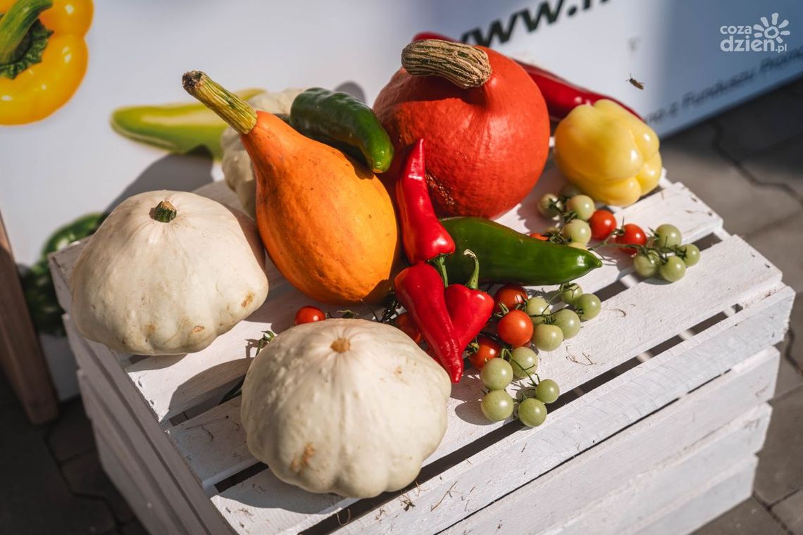 Szydłowieckie targi rolne. Co w programie?