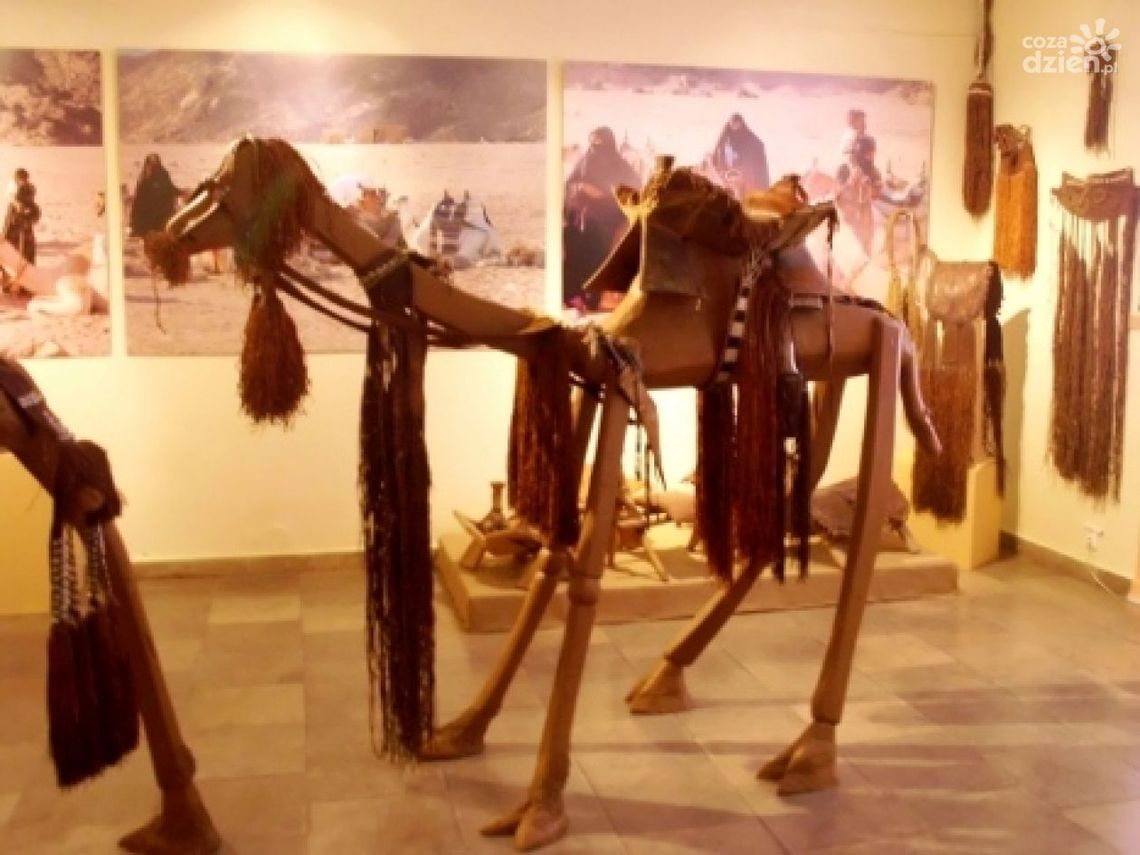 Tajemnice Czarnego Lądu Tajemnice Czarnego Lądu