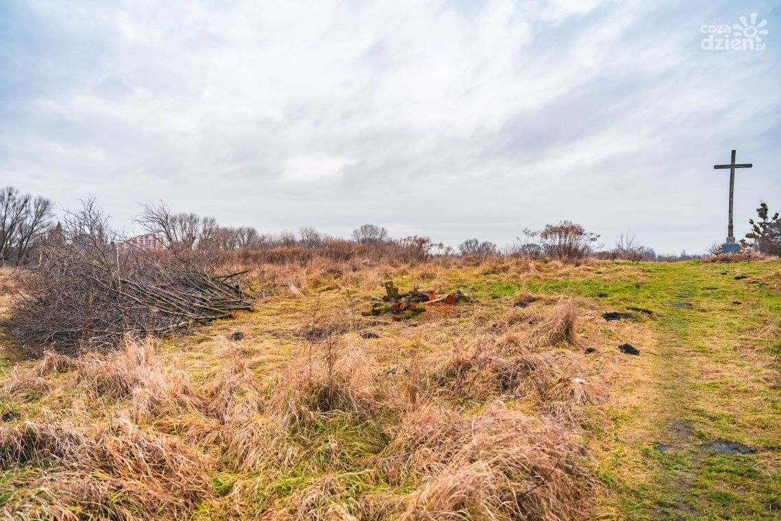 Taki piękny park...