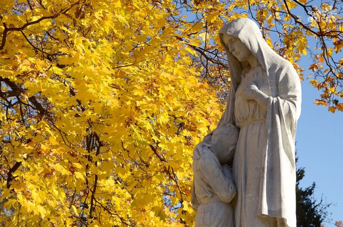 TAM NADAL BIJĄ TYSIĄCE RADOMSKICH SERC