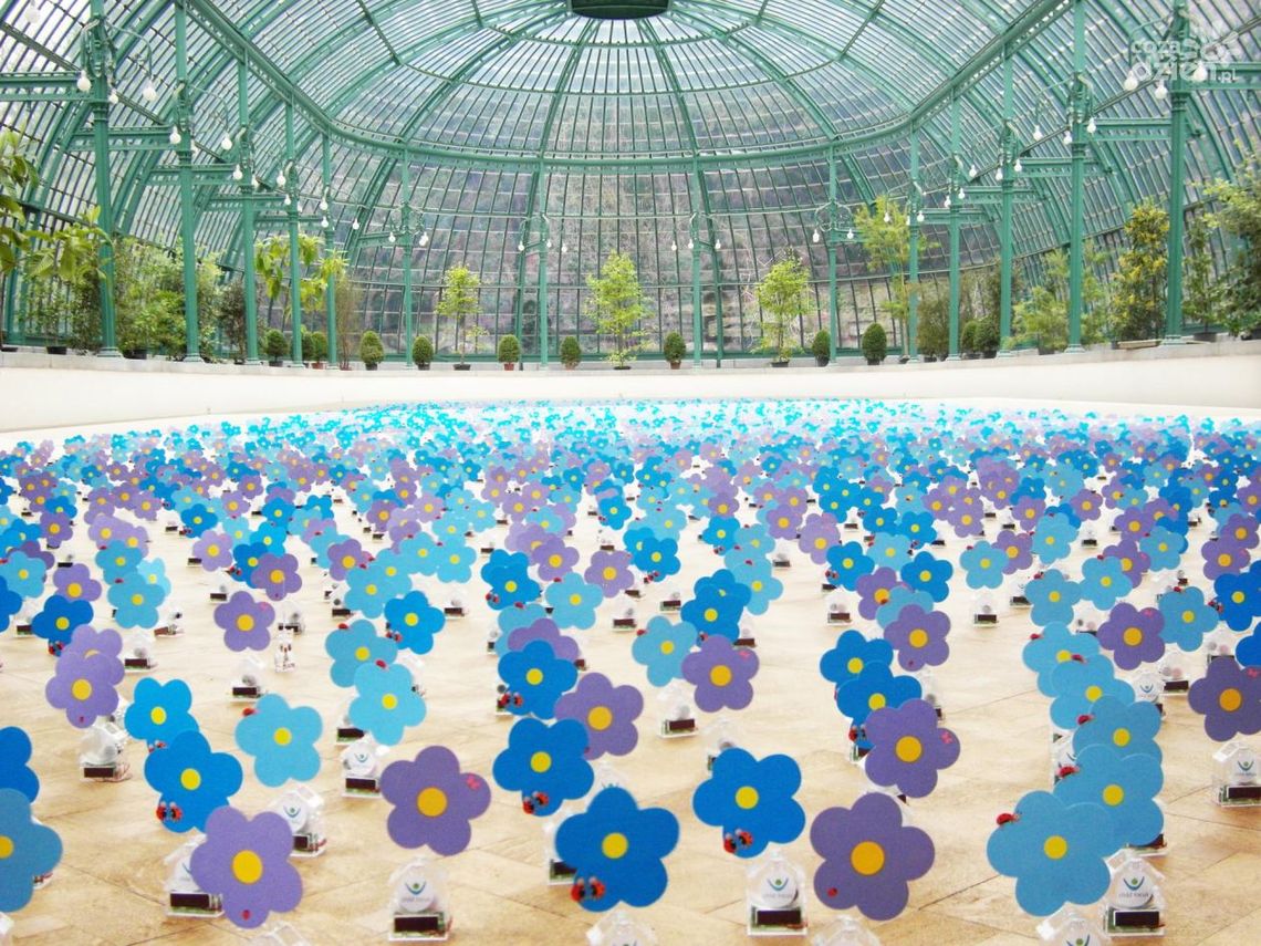 „Tańczące kwiaty” w Elektrowni