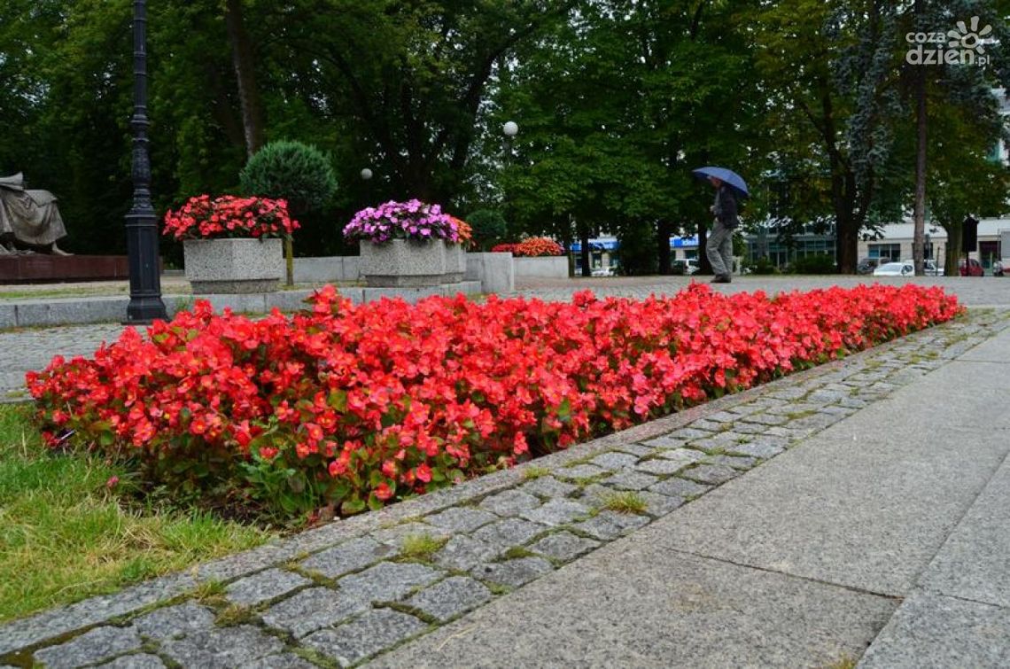 Tego jeszcze nie było! Festiwal Ogrodów już w ten weekend Tego jeszcze nie było! Festiwal Ogrodów już w ten weekend