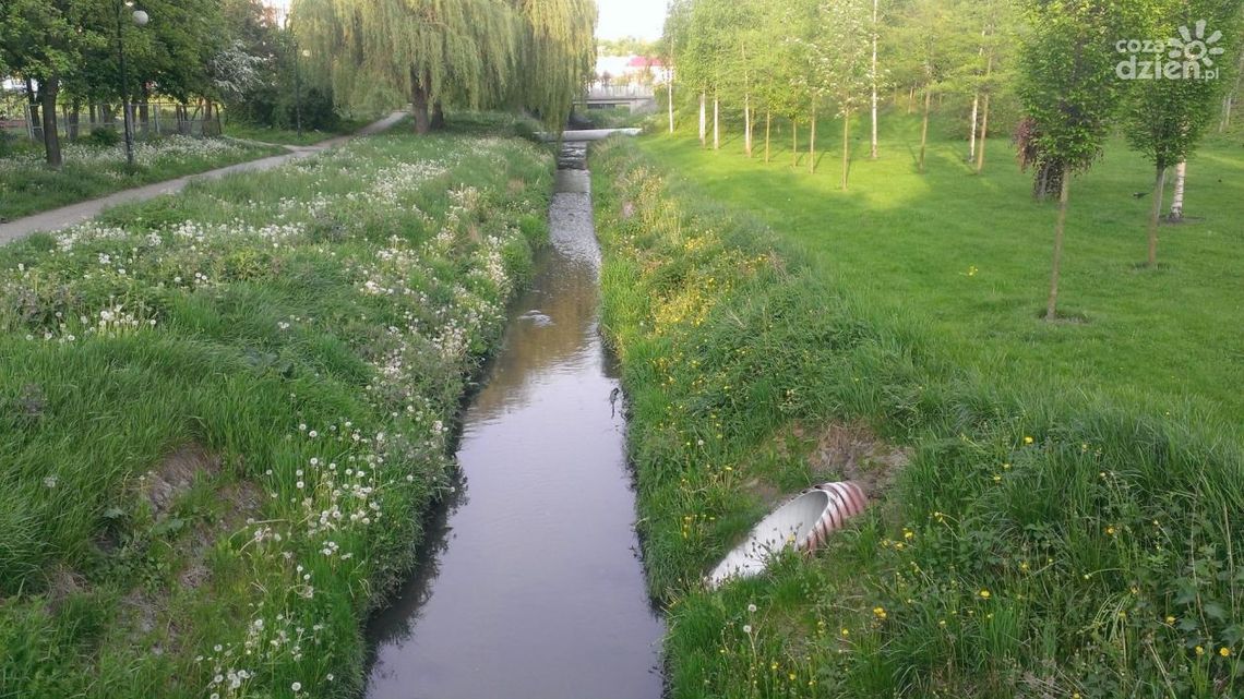 Teren miejski, teren prywatny, Dwa światy.