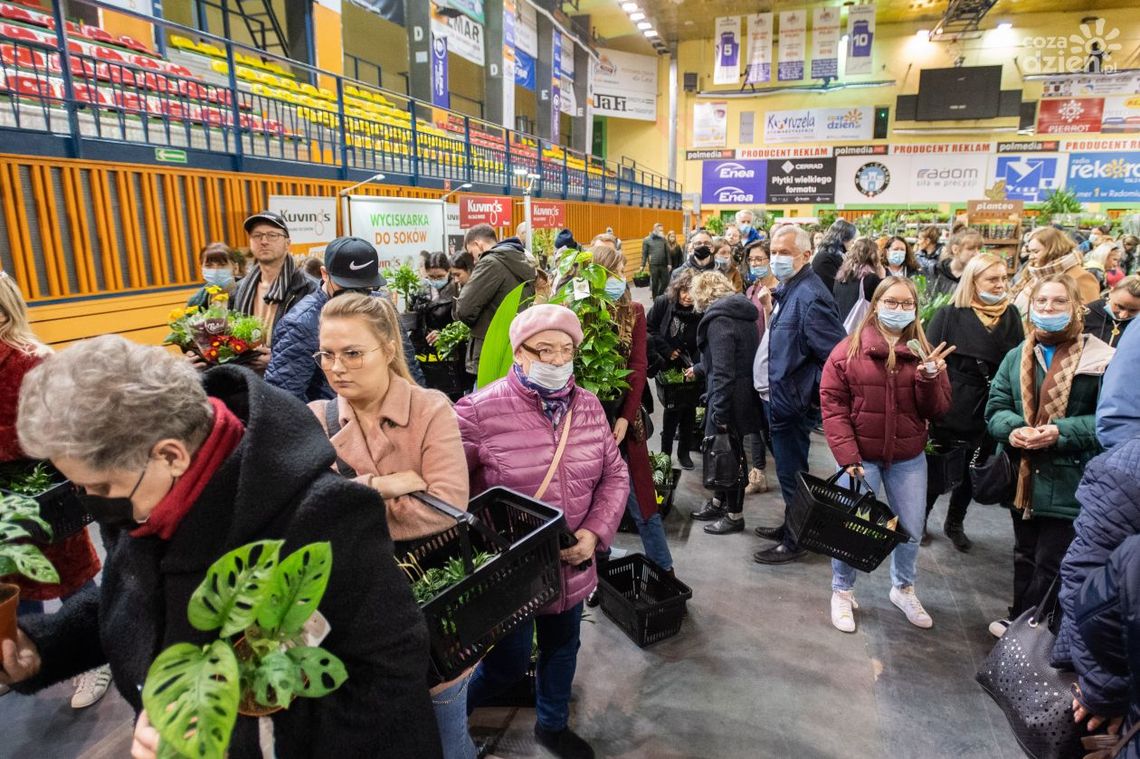 Tłumy na festiwalu roślin