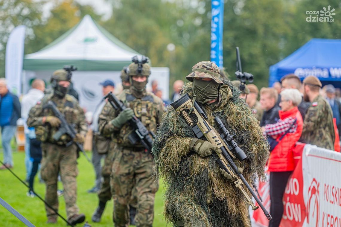 To był rok pełen wyzwań dla Terytorialsów