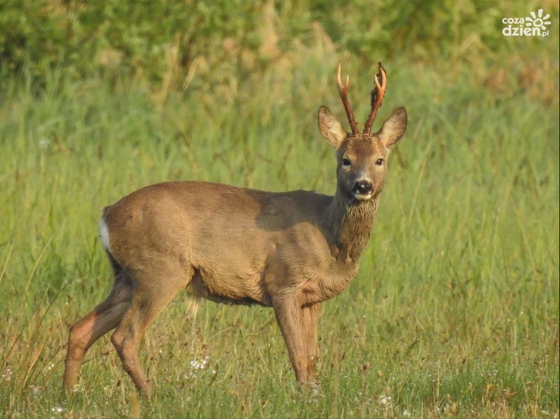 To była piękna niedziela! Czekamy na zdjęcia!