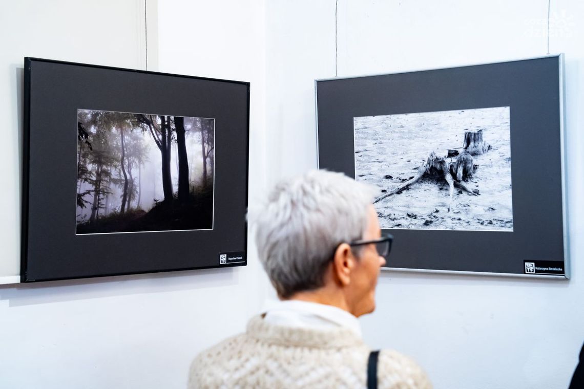 To, co niekiedy umyka oczom. RTF prezentuje doroczną wystawę To, co niekiedy umyka oczom. RTF prezentuje doroczną wystawę