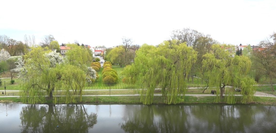 To miasto w regionie nazywają "Mazowieckim Kazimierzem". Ma 20 hektarów zieleni a będzie więcej! To miasto w regionie nazywają "Mazowieckim Kazimierzem". Ma 20 hektarów zieleni a będzie więcej!