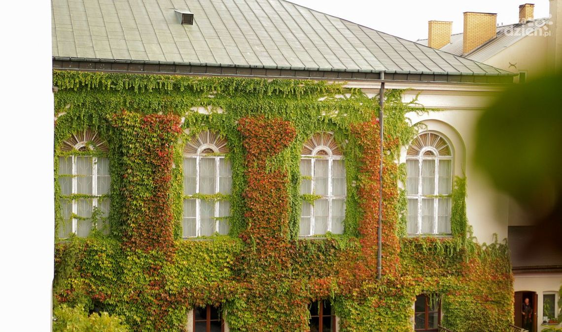 To może być zielony azyl 