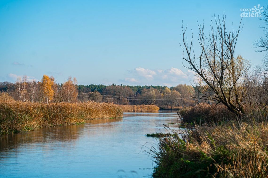 Tomczyce. Zwłoki wędkarza w Pilicy