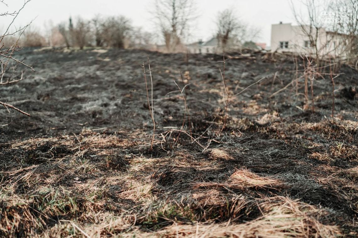 Tragedia w Pionkach... 50-latek znaleziony w ogniu
