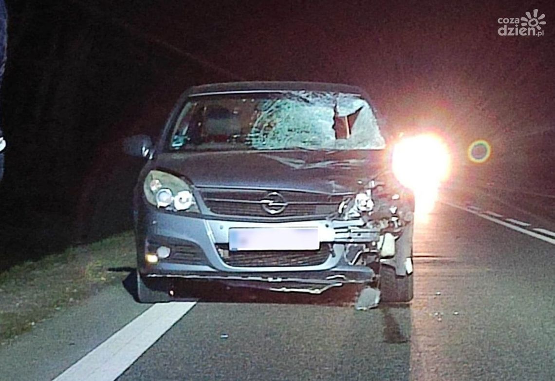 Tragiczny wypadek pod Przysuchą. Mężczyzna wbiegł wprost pod nadjeżdżające auto? Tragiczny wypadek pod Przysuchą. Mężczyzna wbiegł wprost pod nadjeżdżające auto?