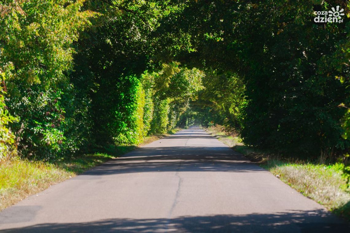 Trasa wyprawy Co Za Jazda! do Rzeczniowa [zdjęcia]