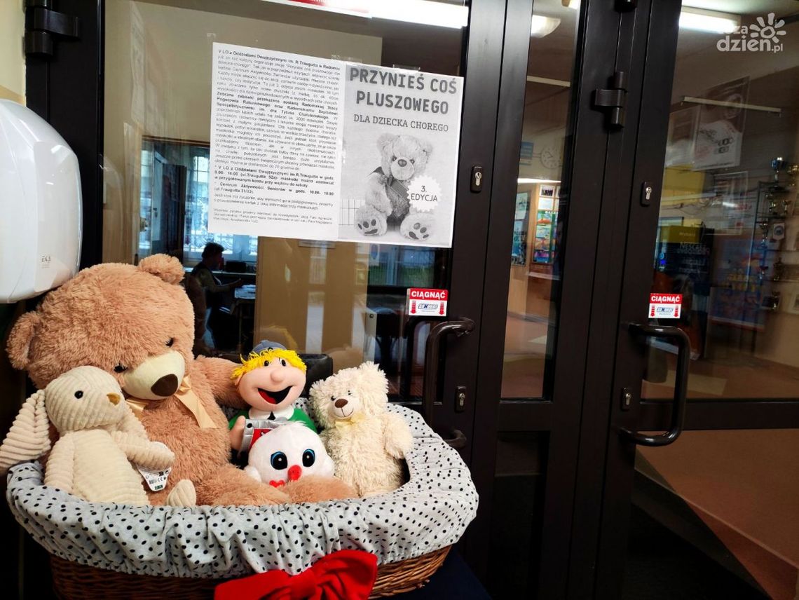 Trwa akcja zbierania pluszaków. Pomożesz? Trwa akcja zbierania pluszaków. Pomożesz?