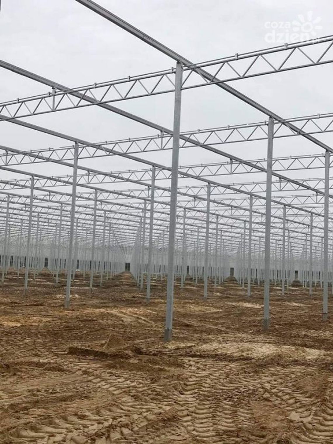 Trwa budowa szklarni pomidorów w Ryczywole. Pracę znajdzie tu ok. 300 osób