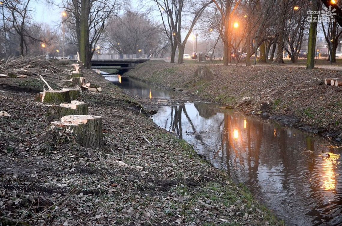 Trwa rewitalizacja Leśniczówki i Starego Ogrodu Trwa rewitalizacja Leśniczówki i Starego Ogrodu