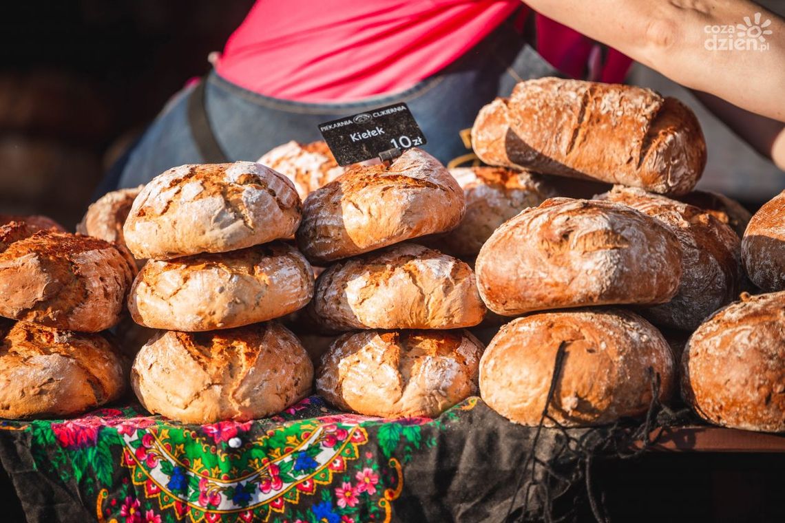 Trwa XXIV Radomskie Święto Chleba