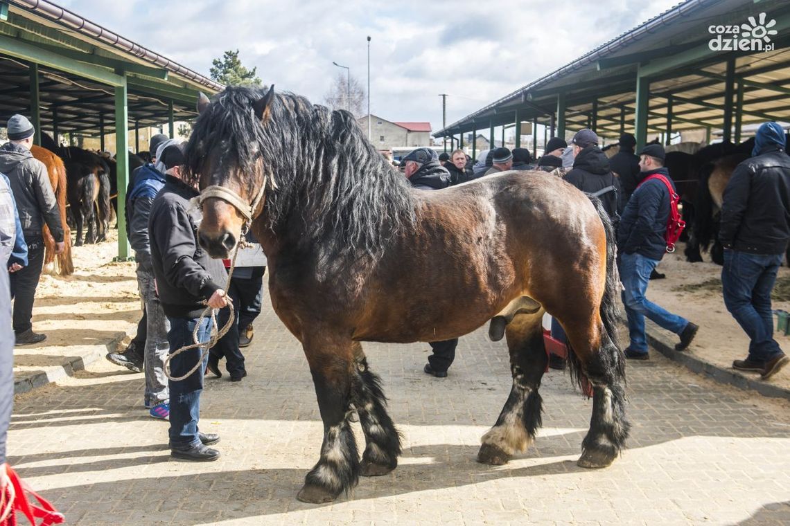 Trwają Wstępy w Skaryszewie Trwają Wstępy w Skaryszewie