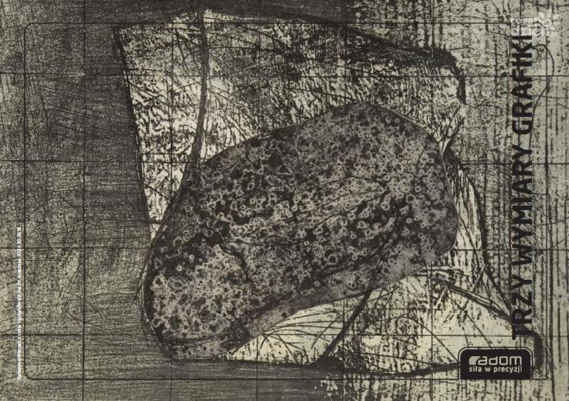 TRZY WYMIARY GRAFIKI W ŁAŹNI