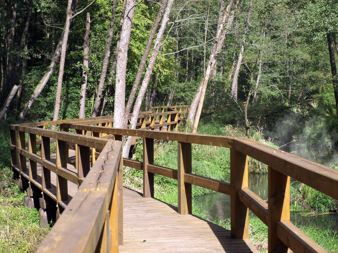 Turyści z Radomia i okolic uwielbiają to miejsce. Odpoczywać miał tu król Władysław Jagiełło