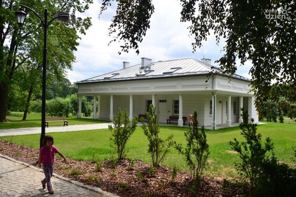 Turysto, siądź pod mym liściem...
