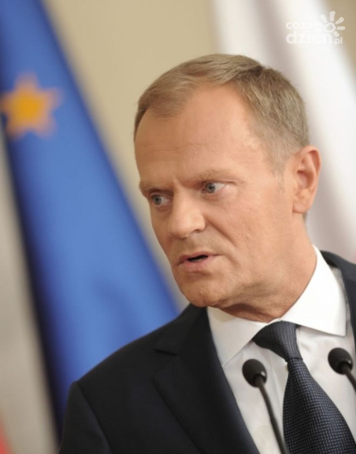 Tusk kontra internauci!