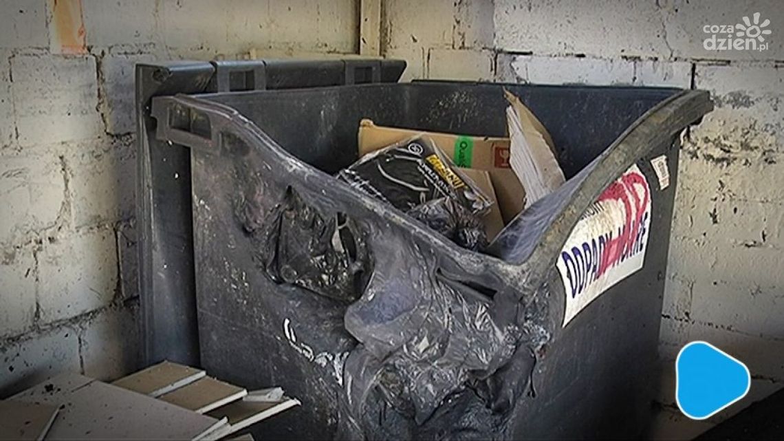 TV DAMI INFORMACJE - wydanie z 18 kwietnia