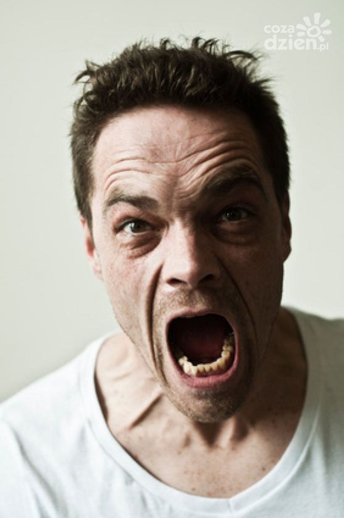 "Ty k...o!" czyli sąsiad cham