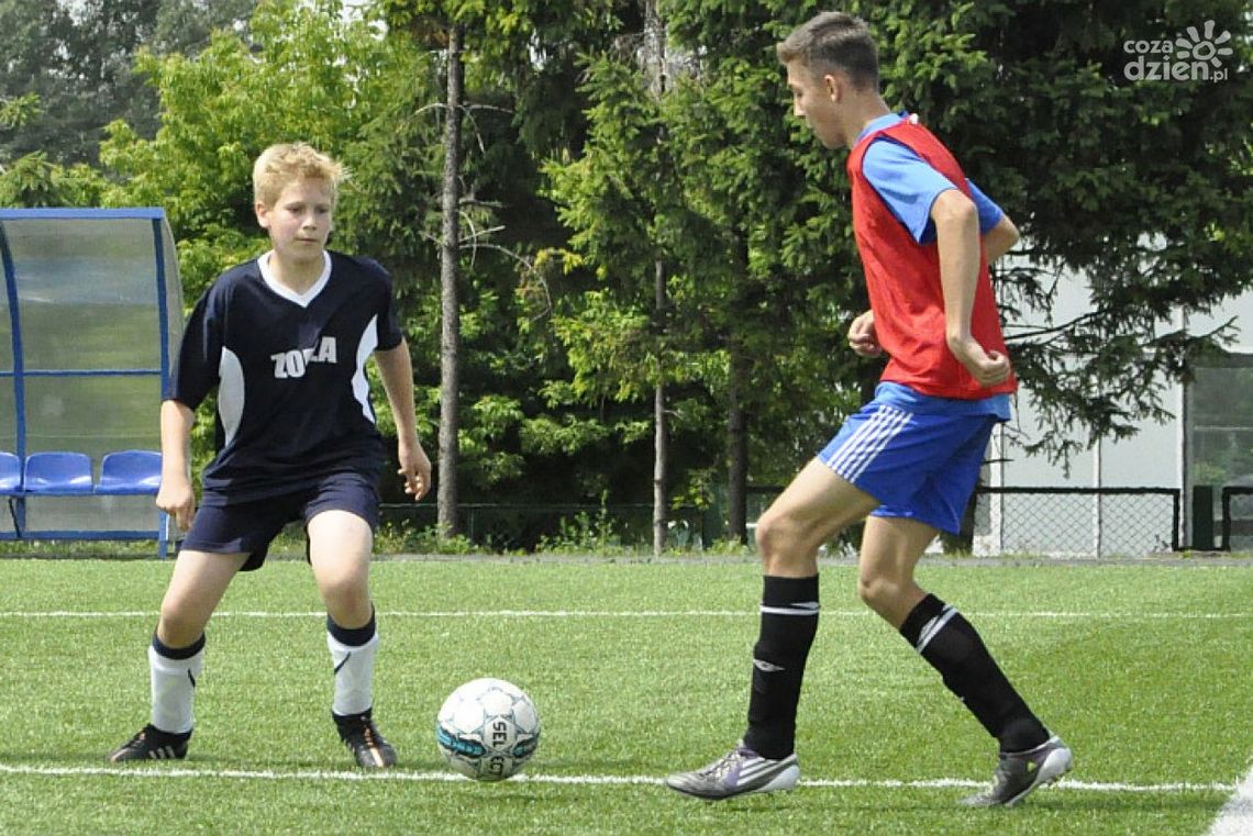 Tydzień z Wild Cup na finiszu