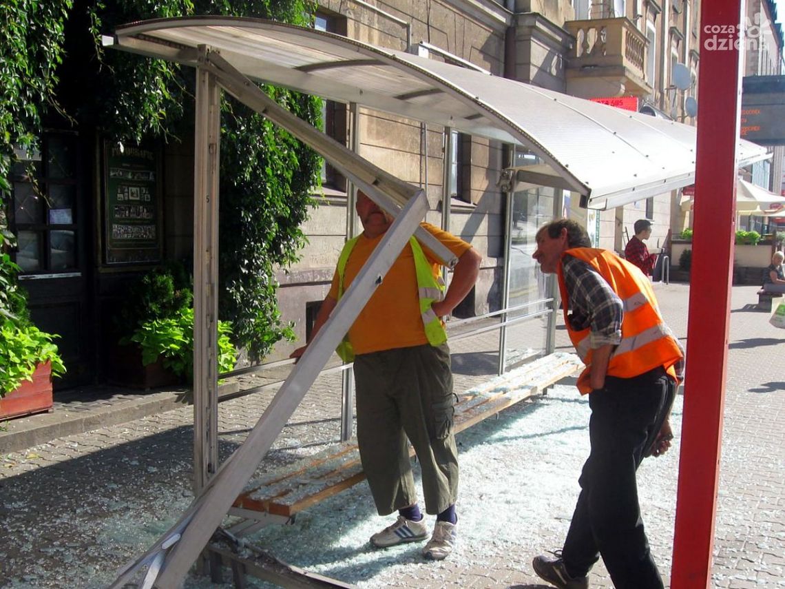 Tylko w rok zniszczyli blisko 100 przystanków