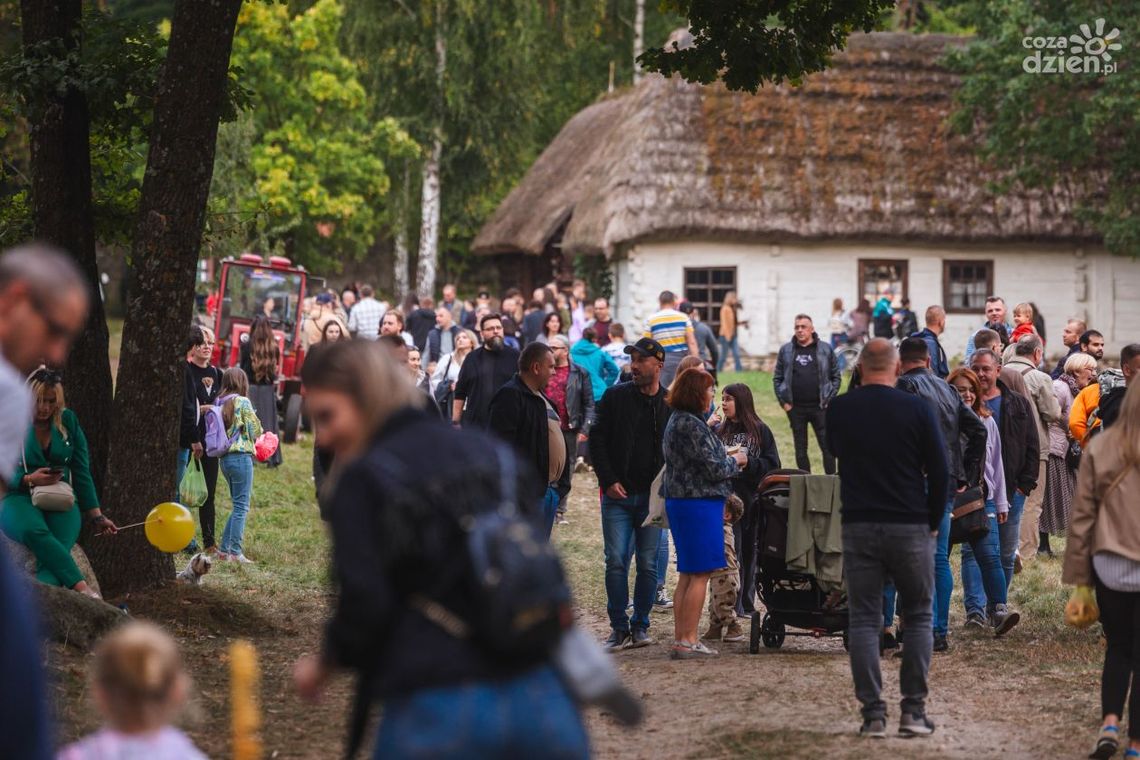 Tysiące radomian na Festiwalu Ziemniaka!
