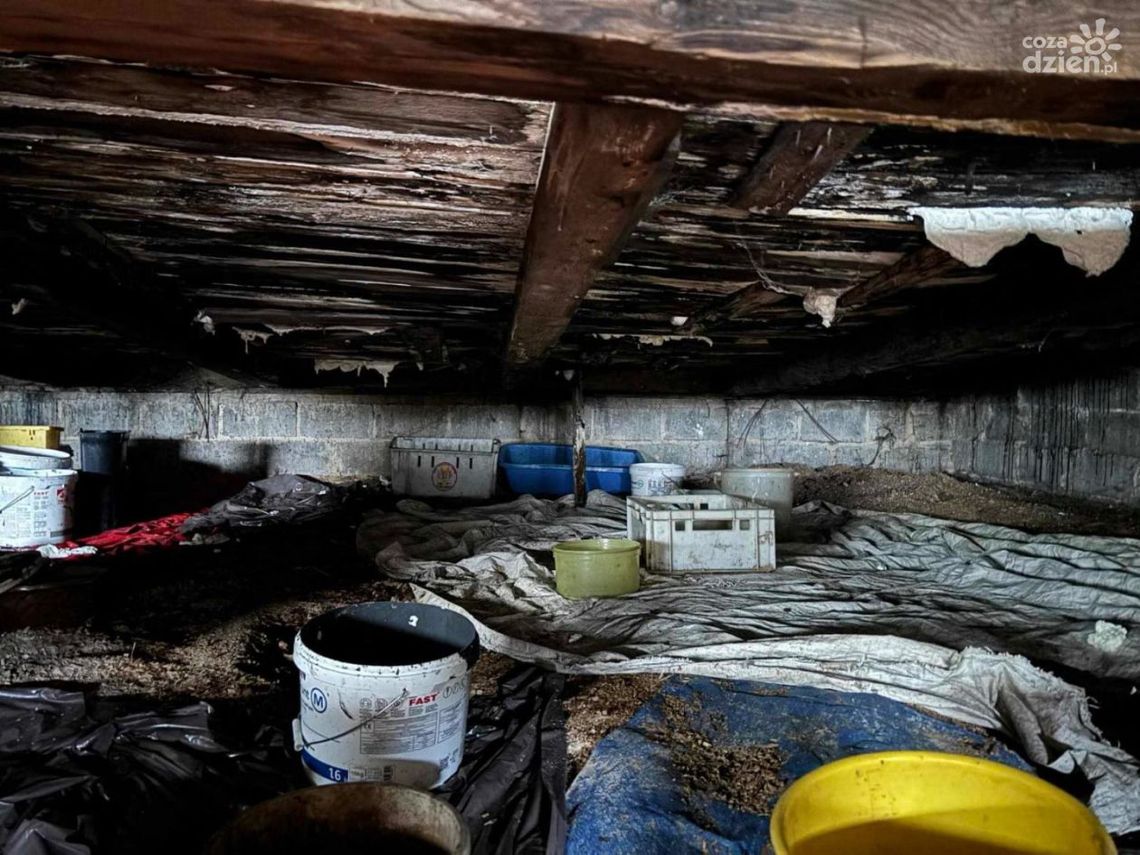 Uczennica w dramatycznej sytuacji. Na pomoc ruszyła wychowawczyni