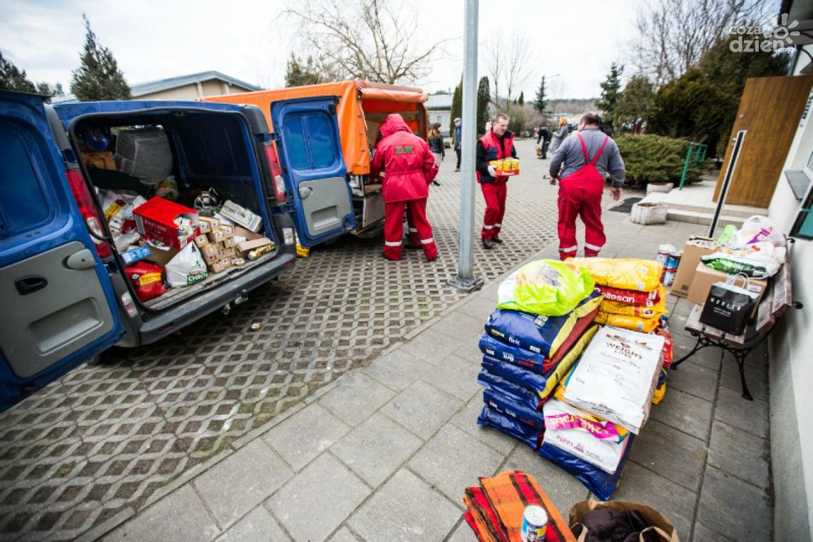 Udana zbiórka dla schroniska Udana zbiórka dla schroniska