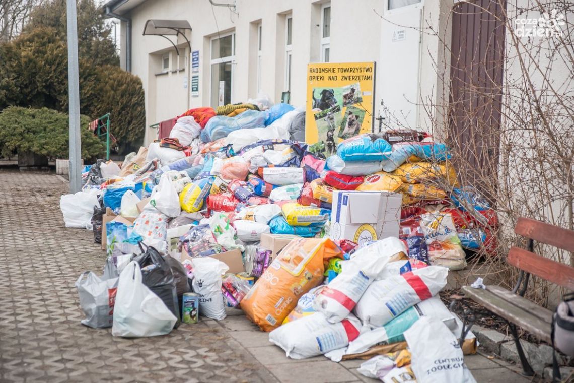 Udana zbiórka dla zwierząt. Radomianie mają duże, szczodre serca