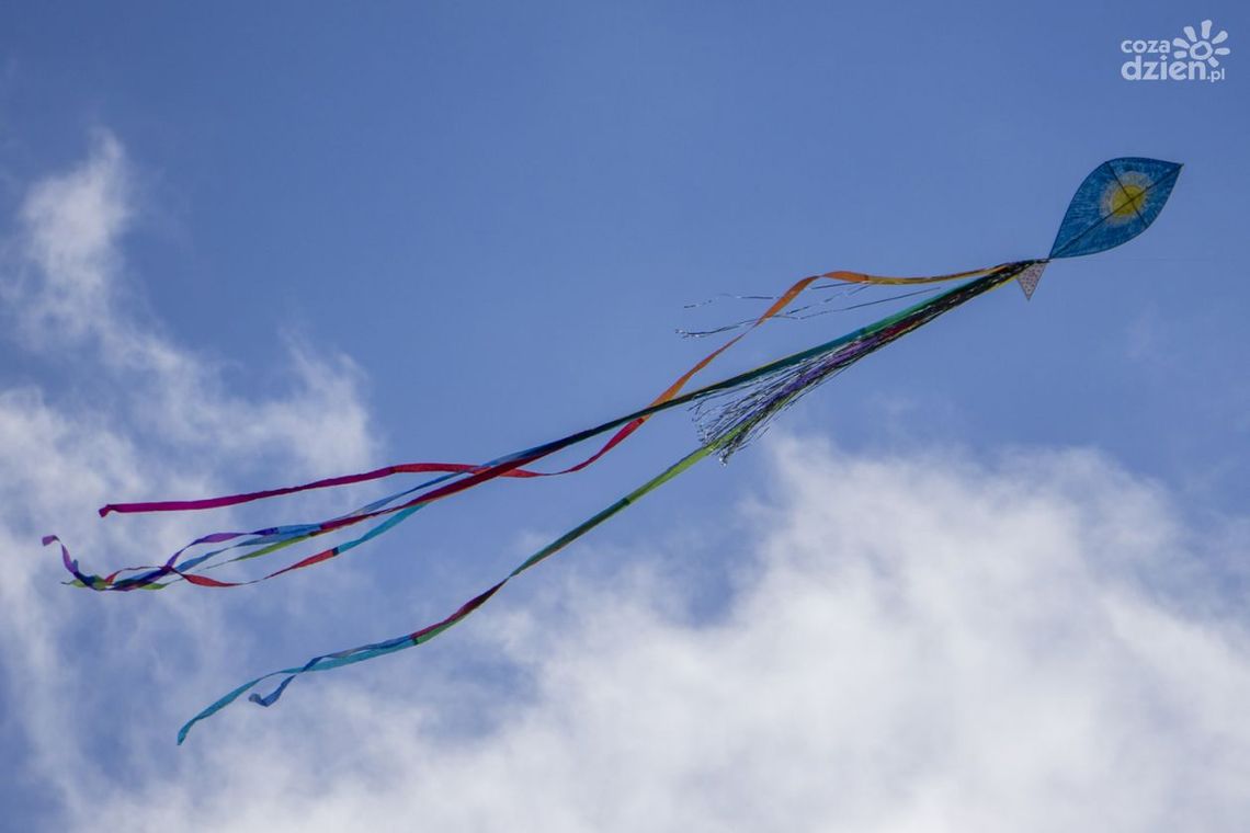 Udane zawody latawców