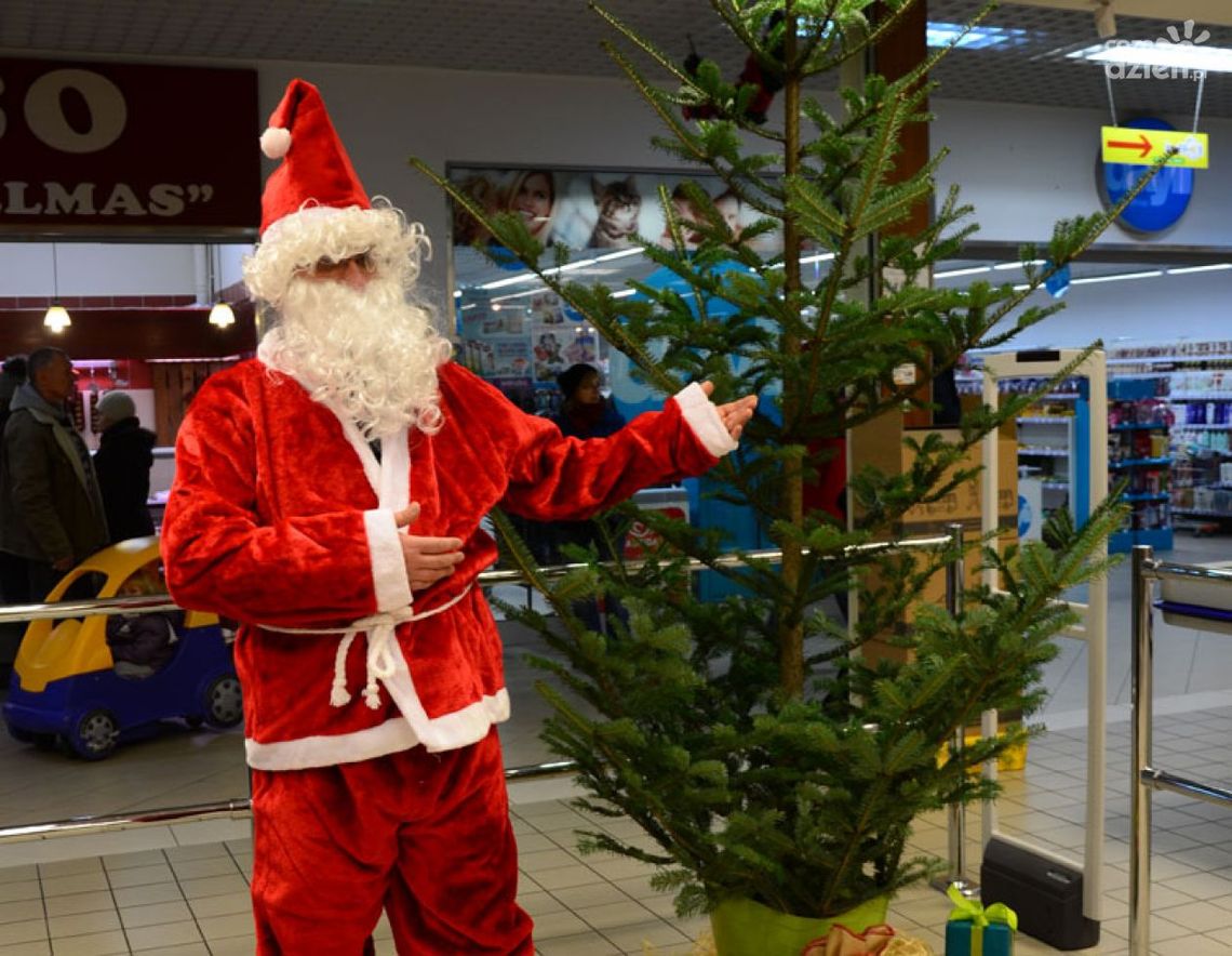 Udekoruj drzewko i spotkaj Mikołaja! Udekoruj drzewko i spotkaj Mikołaja!