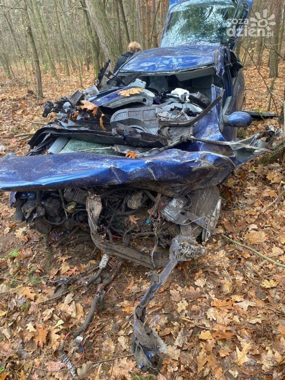 Uderzyła w drzewo i dachowała