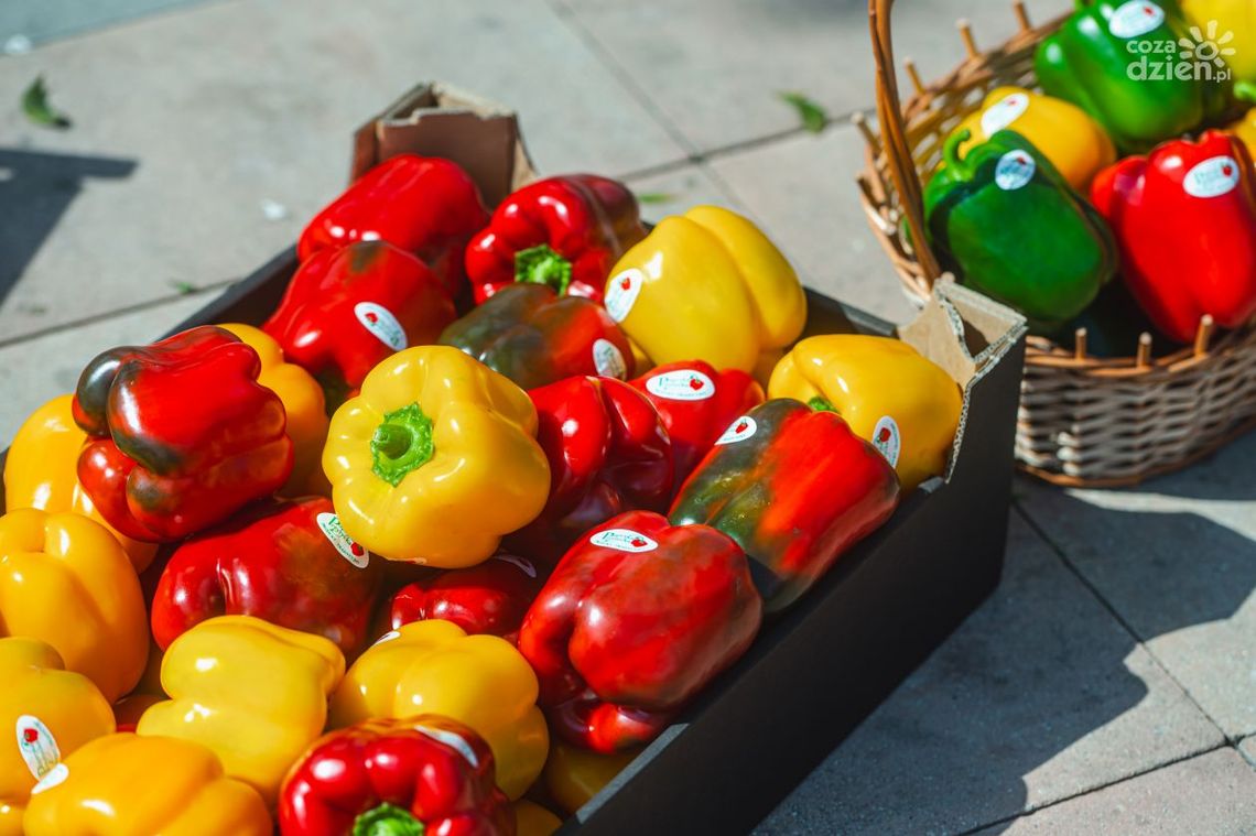 Ukradł 300 kg papryki Ukradł 300 kg papryki