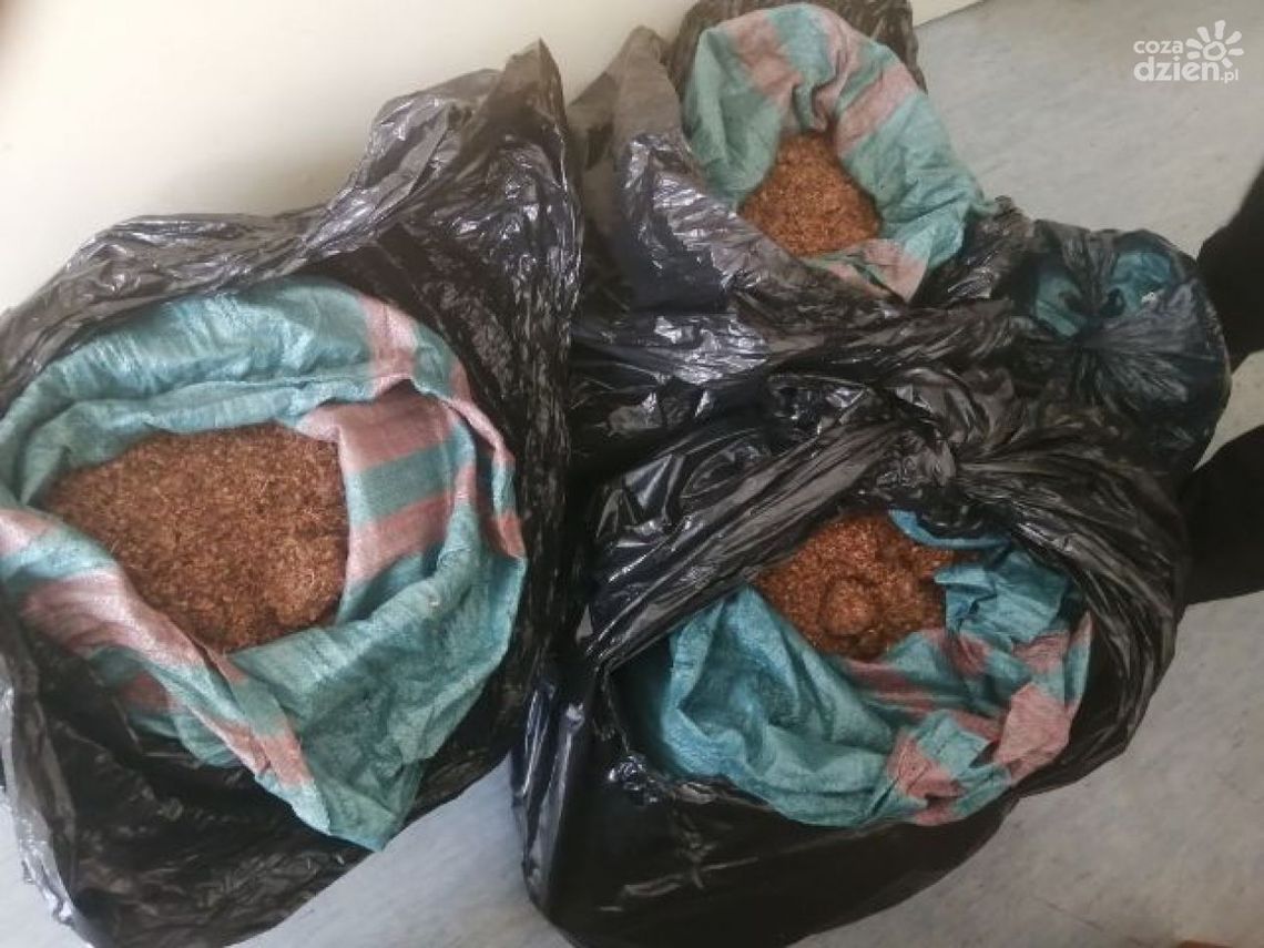 Ukrainiec przewoził 40 kg tytoniu bez akcyzy