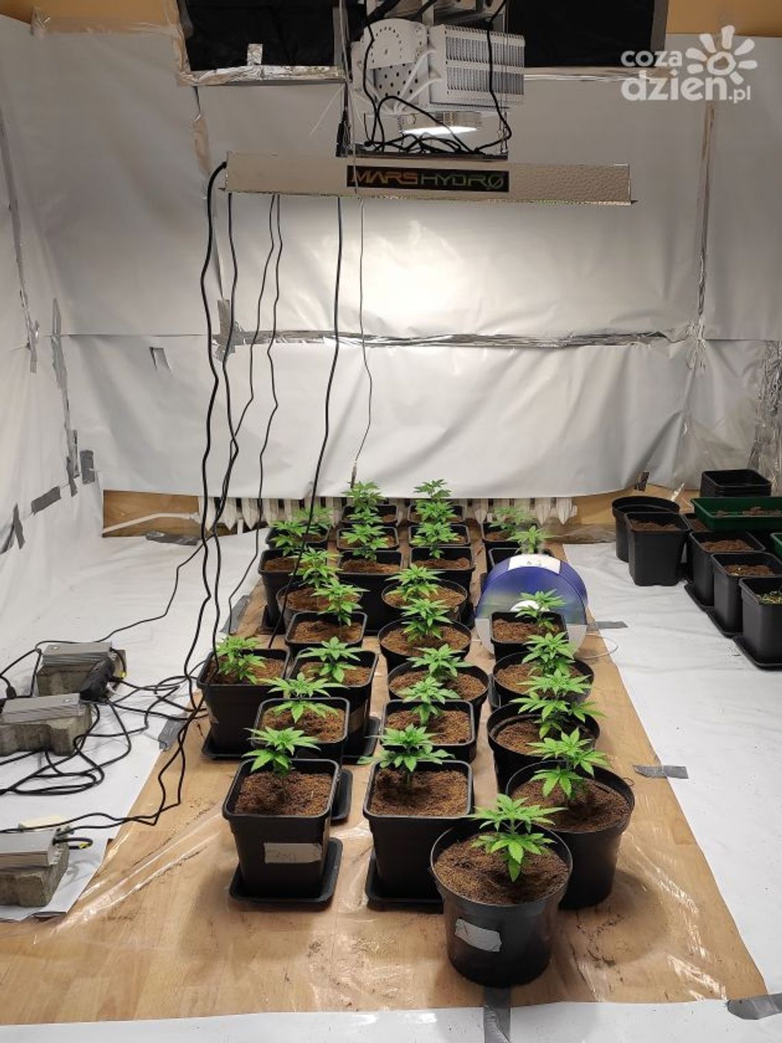 Ukrywali broń i konopie. Jeden z nich był poszukiwany Ukrywali broń i konopie. Jeden z nich był poszukiwany