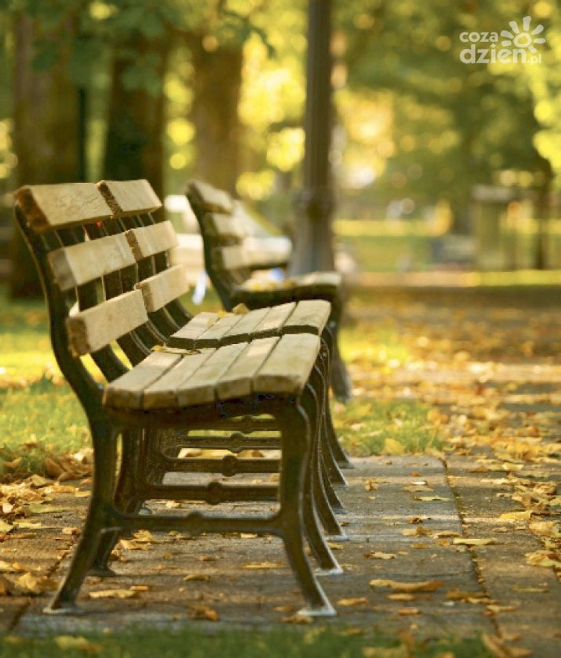 Uniwersytet Trzeciego Wieku