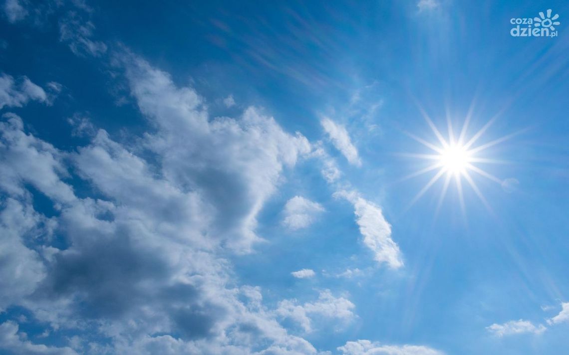 Upał. Nie zostawiaj dziecka i zwierzęcia w aucie!